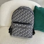 DIOR BACK BAG